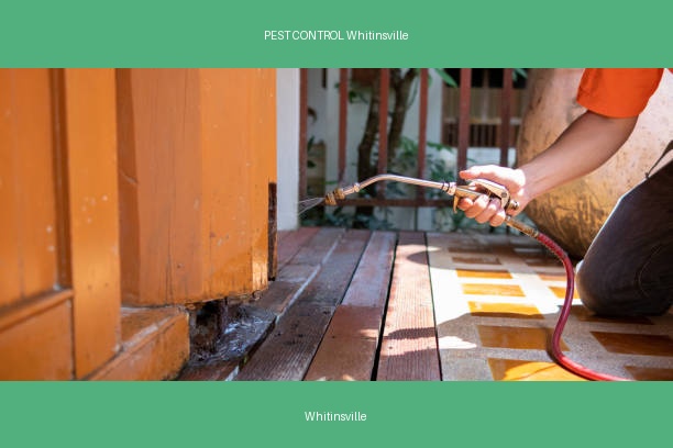 PEST CONTROL Whitinsville